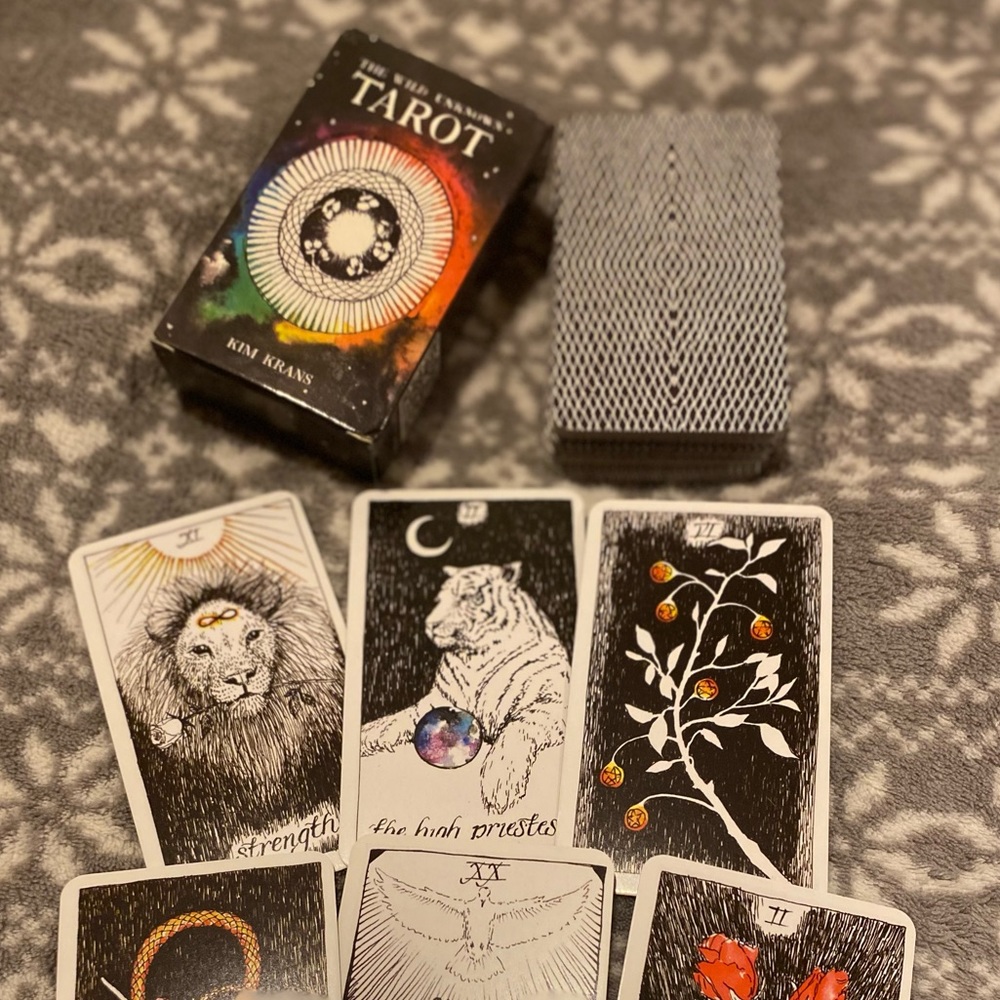The Wild Unknown Tarot Card